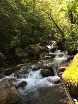 river