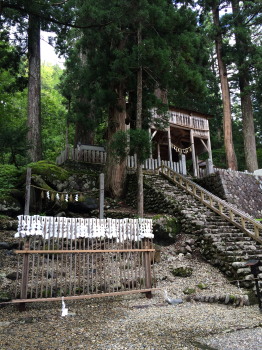 cyukyo
