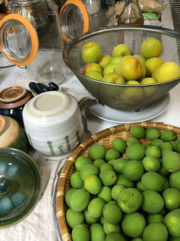 ume