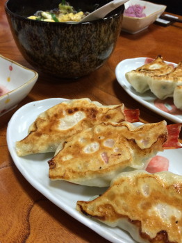 gyoza