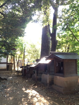 hikawa