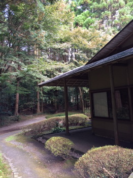 椿3
