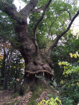熱田4