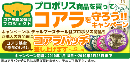 プロポリスを買ってコアラを守ろう!!キャンペーン