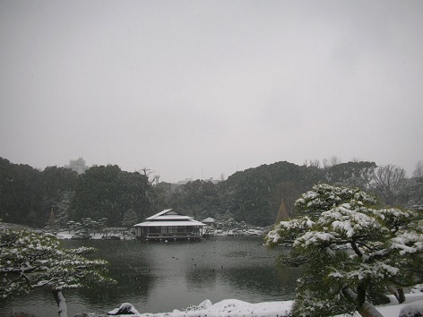 清澄庭園・雪
