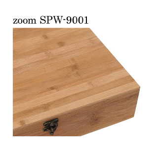 spw-9001ズーム