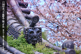 川越 連謦寺 鐘楼堂