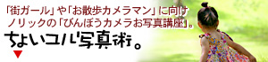 お写真講座お散歩編