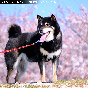 ズーム望遠側