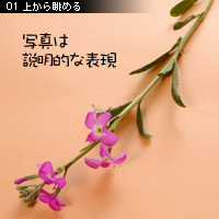 カメラアングル