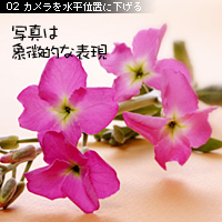 カメラアングル