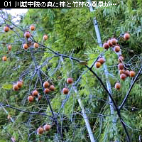 前景のアイディア