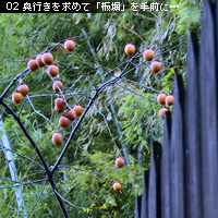 前景のアイディア