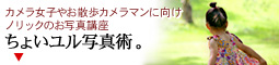 小見出し おさんぽかめら