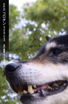わがままな愛犬