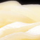 グルメお写真講座 うどん