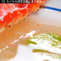 お写真講座 ゆるテク編