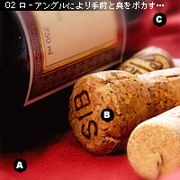 かなりぴんぼけ用語辞典