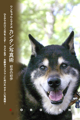 愛犬とマナぶ写真術 愛犬が笑った