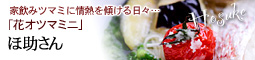 ブロガーさん紹介 ほ助ちゃん