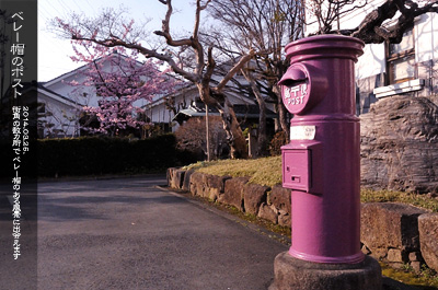 川越 ポストのある風景
