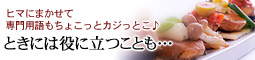 ノリック 専門用語辞典