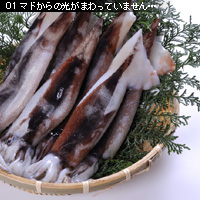 かなりピンボケ イカの撮り方