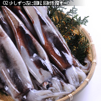 かなりピンボケ イカの撮り方