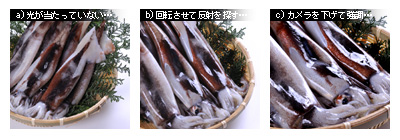 かなりピンボケ イカの撮り方
