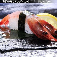 かなりピンボケ 海苔の撮り方