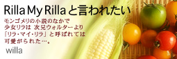 かなりピンボケ willaさん紹介