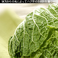かなりピンボケ 野菜の撮り方