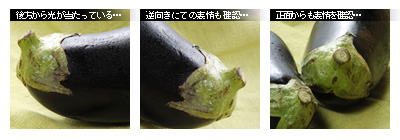 かなりピンボケ 野菜の撮り方