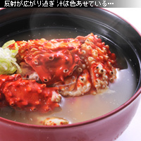 かなりピンボケ 蟹の撮り方