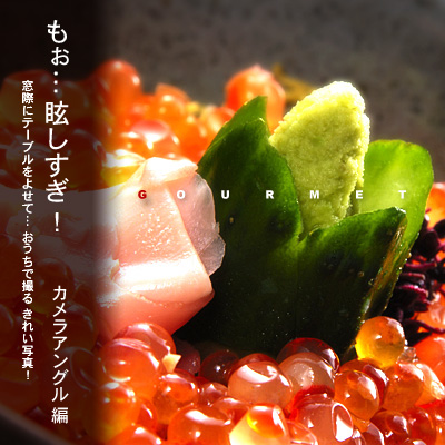 かなりピンボケ ゲスト紹介