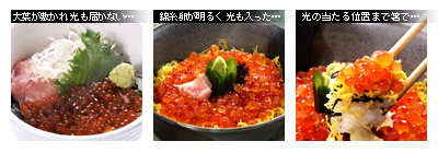 かなりピンボケ ゲスト紹介