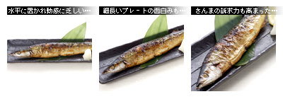 かなりピンボケ 秋刀魚の撮り方