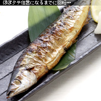 かなりピンボケ 秋刀魚の撮り方