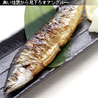 かなりピンボケ 秋刀魚の撮り方