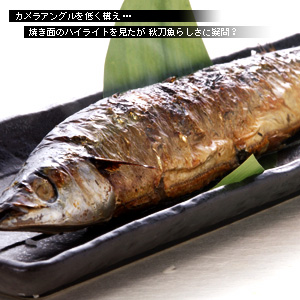 かなりピンボケ 秋刀魚の撮り方
