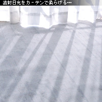 かなりピンボケ 窓辺で撮る写真術