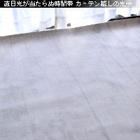 かなりピンボケ 窓辺で撮る写真術