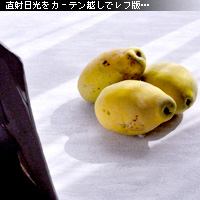 かなりピンボケ 窓辺で撮る写真術