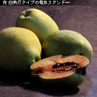 かなりピンボケ 室内で撮る