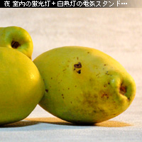 かなりピンボケ 室内で撮る
