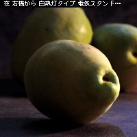 かなりピンボケ 室内で撮る