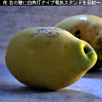かなりピンボケ 室内で撮る