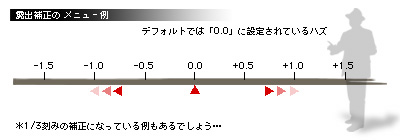 かなりピンボケ 露出補正説明
