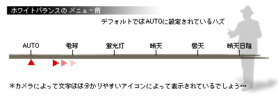 かなりピンボケ ホワイトバランス説明