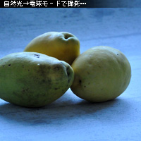 かなりピンボケ ホワイトバランスで遊ぶ